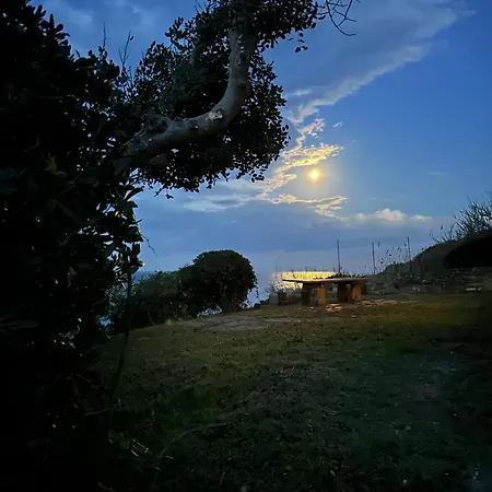 Aphrodite Villa