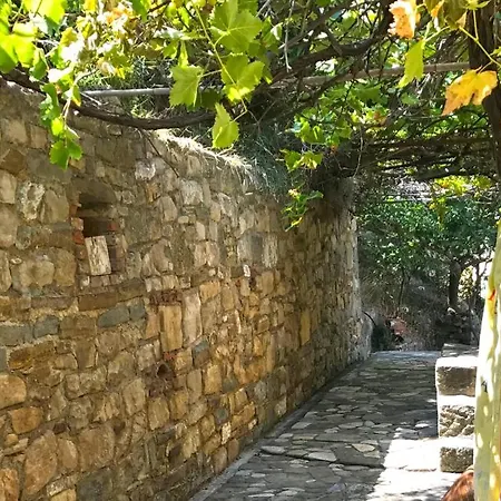 Villa Aphrodite *